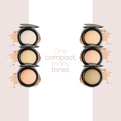 Parfaite Fix Compact Oil-Absorbing Powder for Smooth Matte Look